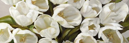 Tulipani Bianchi by Leonardo Sanna art print