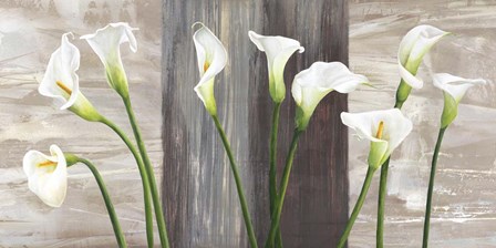 Country Callas by Jenny Thomlinson art print