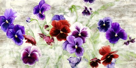 Field of Pansies by Jenny Thomlinson art print