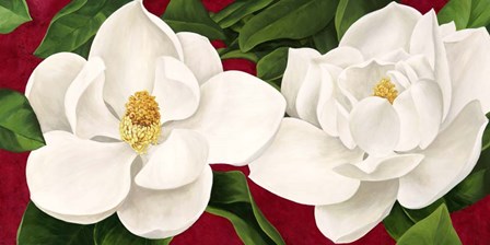 Magnolie in Fiore by Luca Villa art print