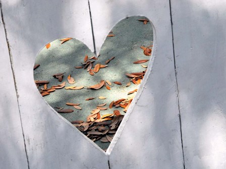 Heart Full of Love by Gail Peck art print