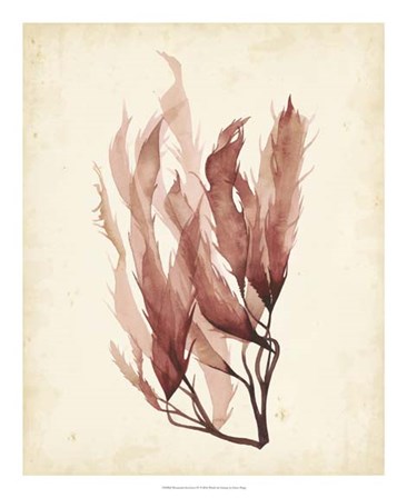 Watercolor Sea Grass IV by Grace Popp art print