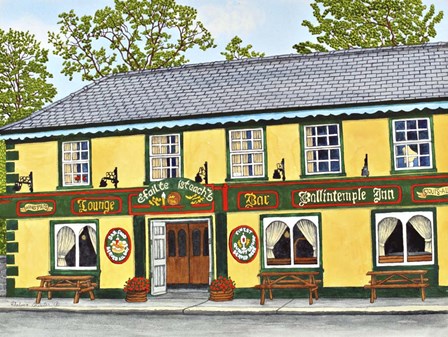 Ireland - Ballintemple Inn by Thelma Winter art print