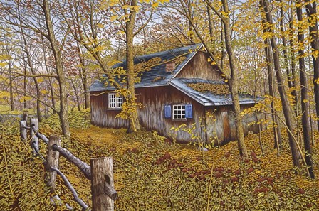 Cabin In The Woods by Thelma Winter art print