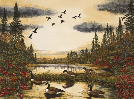Canada Geese by Thelma Winter art print