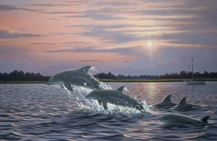 Dolphins by Wilhelm J. Goebel art print