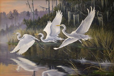 Morning Departure Egrets by Wilhelm J. Goebel art print
