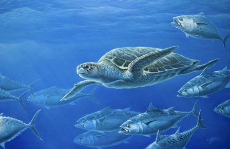 Sea Turtle by Wilhelm J. Goebel art print