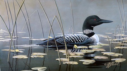 Loon In Reeds by Wilhelm J. Goebel art print