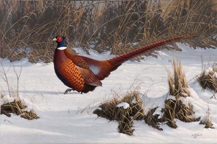 Winter Walk Pheasant by Wilhelm J. Goebel art print