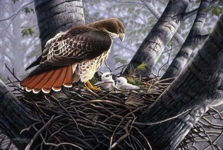 In The Nest by Wilhelm J. Goebel art print