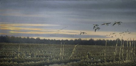Canada Geese by Wilhelm J. Goebel art print