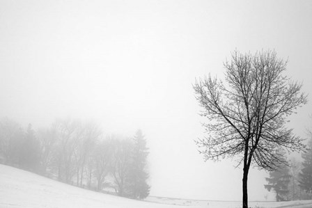 Sentinel by Willow Way Studios, Inc. art print