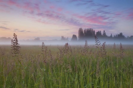 Battle Ground Sunrise by Darren White Photography art print
