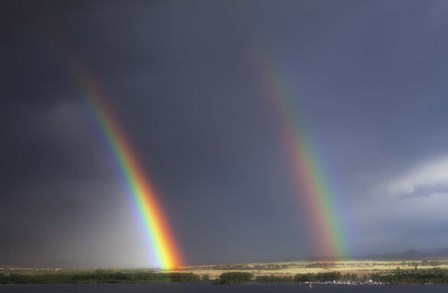 Natures Twin Towers by Darren White Photography art print