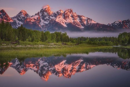 Teton Awakening by Darren White Photography art print