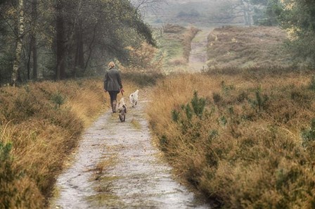 Walking the Dogs by Cora Niele art print
