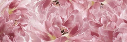 Pink Tulips Scape by Cora Niele art print