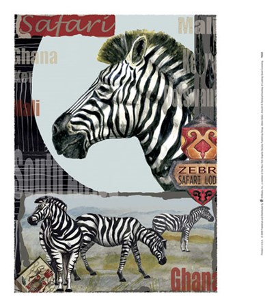 Zebra Safari art print