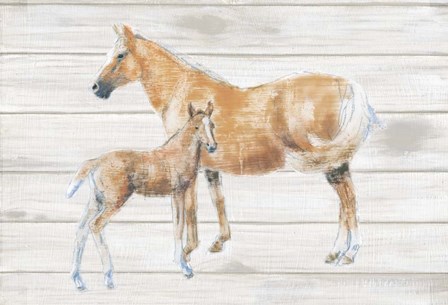 Horse and Colt on Wood by Emily Adams art print