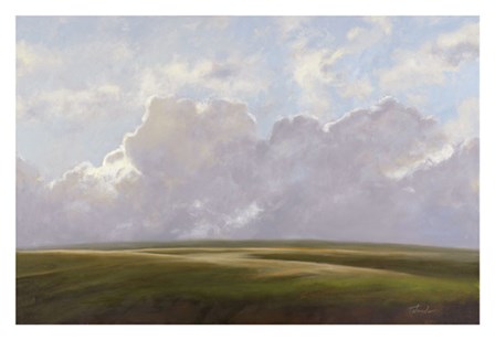 Palouse Afternoon by Todd Telander art print