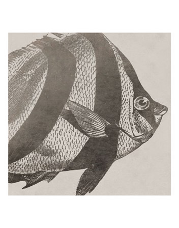 Vintage Fish I by Sparx Studio art print