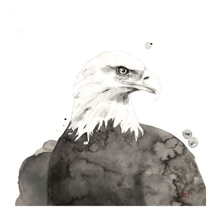 Eagle by Philippe Debongnie art print