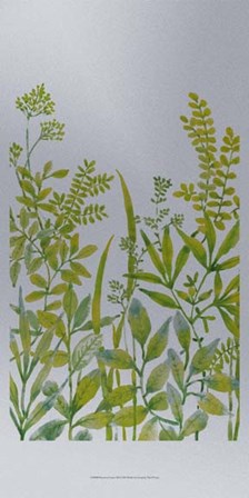 Pattern of Leaves III by Timothy O&#39;Toole art print