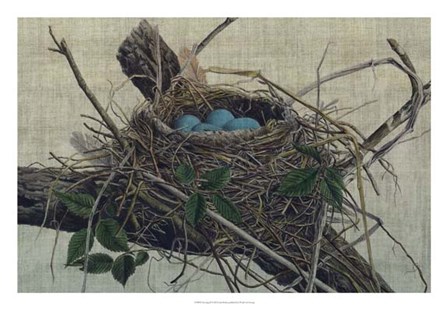 Nesting II by John Butler art print