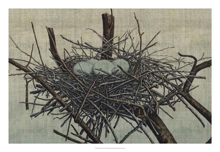 Nesting IV by John Butler art print