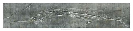 Fossil Imprint I by John Butler art print