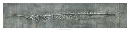 Fossil Imprint II by John Butler art print
