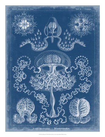 Marine Blueprint IV by Vision Studio art print