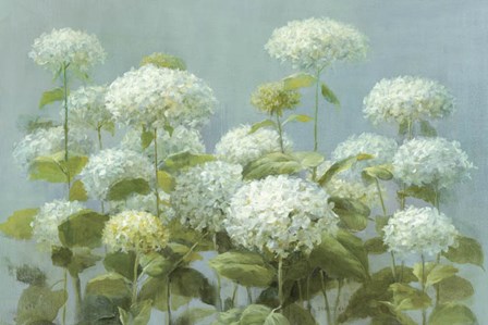 White Hydrangea Garden by Danhui Nai art print