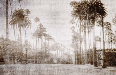 Driving in Beverly Hills - Sepia by Golie Miamee art print