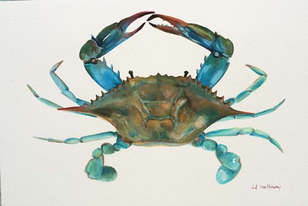 Blue Crab by JJ Galloway art print