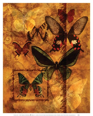 Evocation Of Butterflies art print