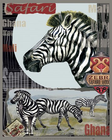 Zebra Safari art print