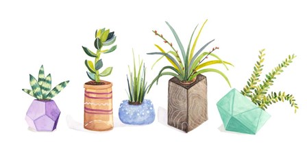 Succulent Display I by Rebekah Ewer art print