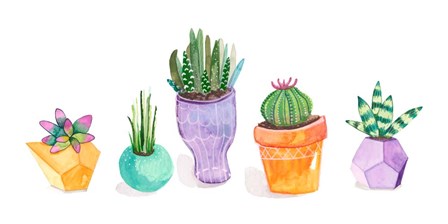 Succulent Display II by Rebekah Ewer art print