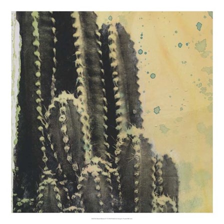 Desert Dreams IV by Naomi McCavitt art print