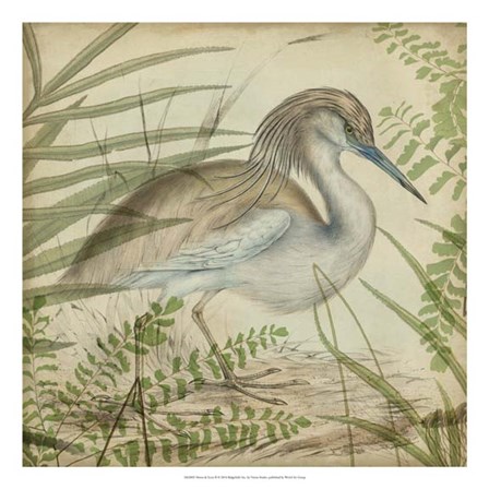 Heron &amp; Ferns II by Vision Studio art print