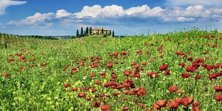 Farm House with Cypresses and Poppies, Tuscany, Italy by Frank Krahmer art print