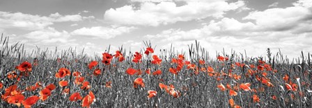 Poppies In Corn Field, Bavaria, Germany by Frank Krahmer art print