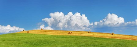 Corn Field Harvested, Tuscany, Italy by Frank Krahmer art print