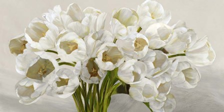 Tulipes Blanches by Leonardo Sanna art print