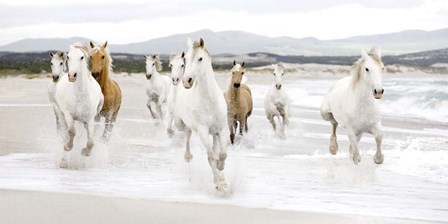 Horses on the beach (detail) by Zero Creative Studio art print