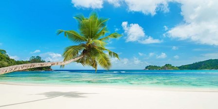 Tropical Beach, Seychelles art print