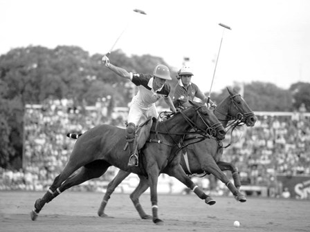 Polo Players, Argentina art print