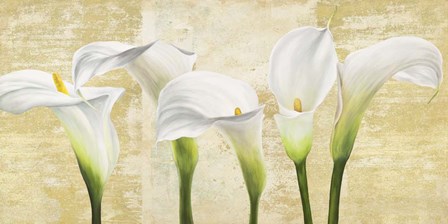 Callas on Gold (neutral variation) by Jenny Thomlinson art print